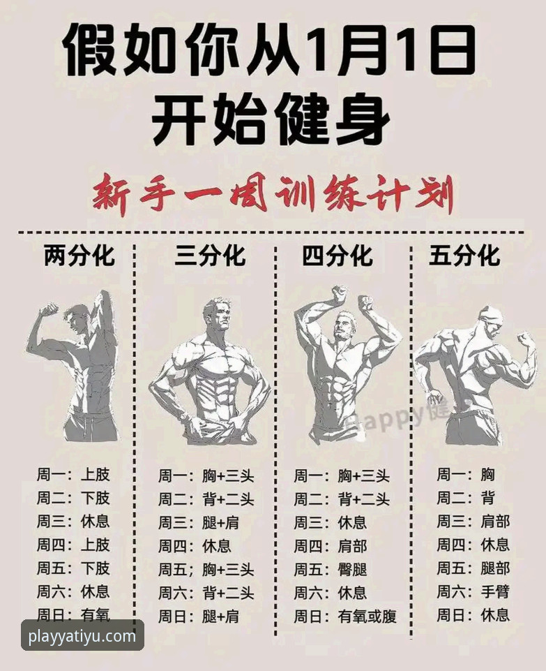 新手必看！亚体育安装全流程实战经验，从下载到设置一步到位