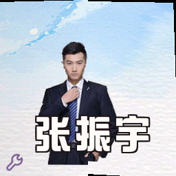 张振宇