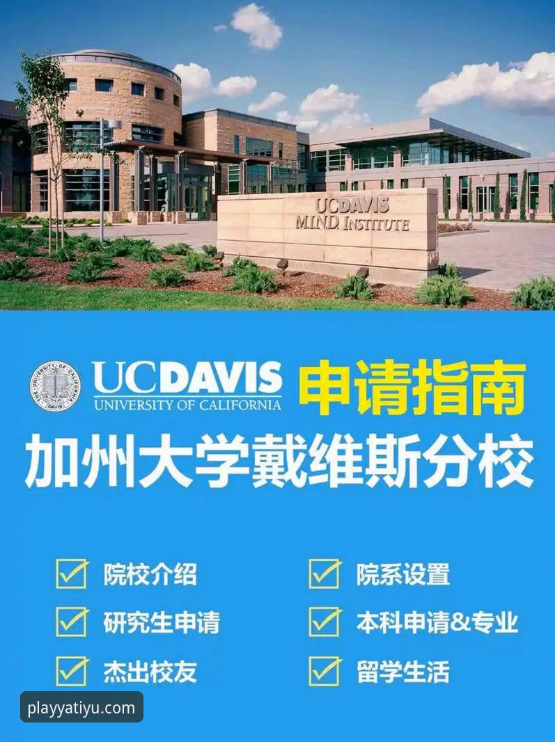 亚体育安装与安全运营评测完整指南：从下载到安心使用的全流程解析